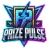 PrizePulse Logo